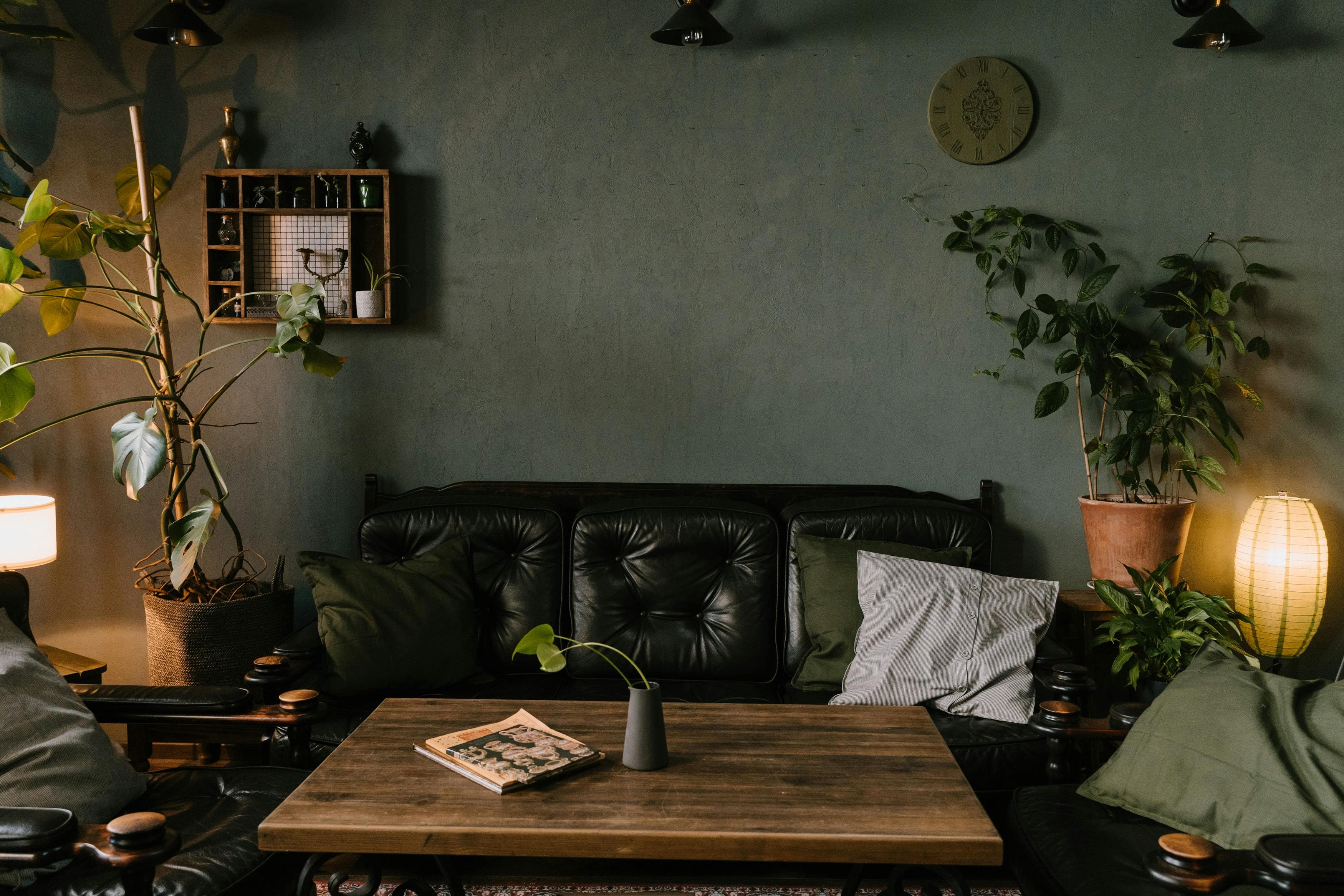 Dark green moody living room with a black leather sofa and lush houseplants, highlighting indoor summer decor trends for 2026.