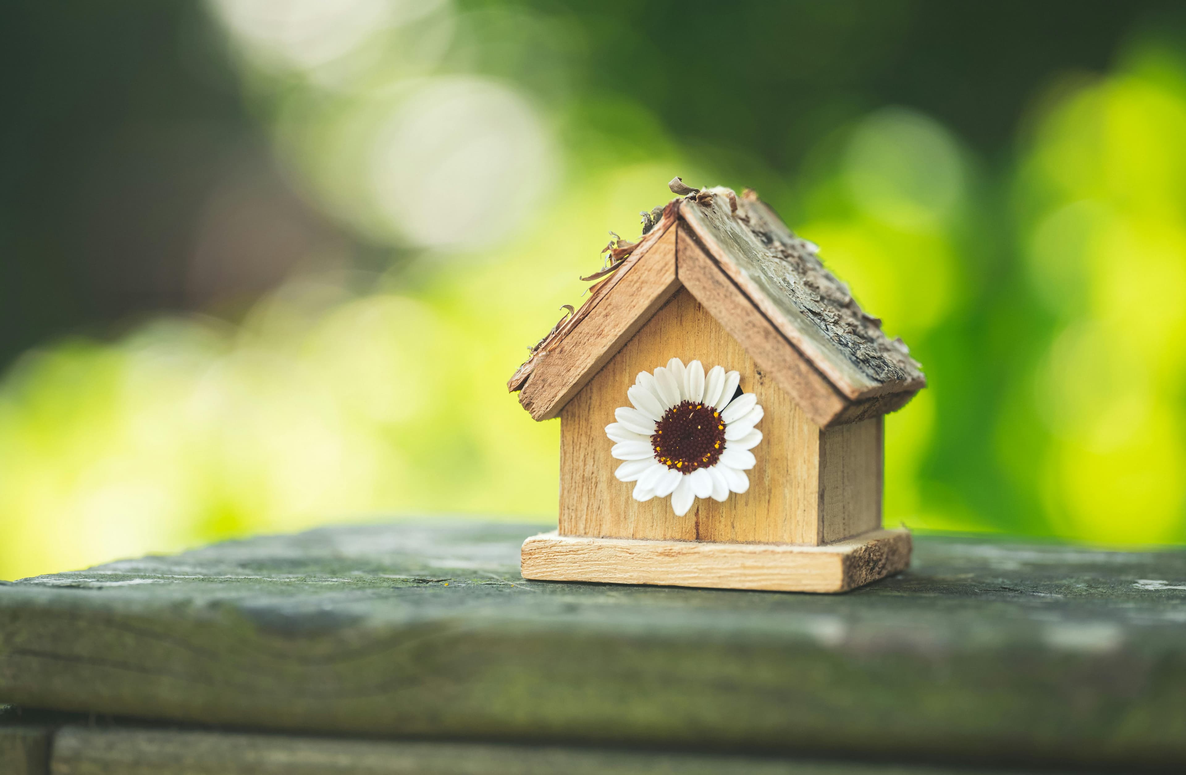 A miniature wooden house with a small daisy in the doorway, standing against a blurred green background, signifying a natural and inviting investment opportunity in eco-friendly or rural real estate.